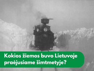Kokios žiemos buvo Lietuvoje praėjusiame šimtmetyje?