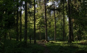 Sėlių šventtakis